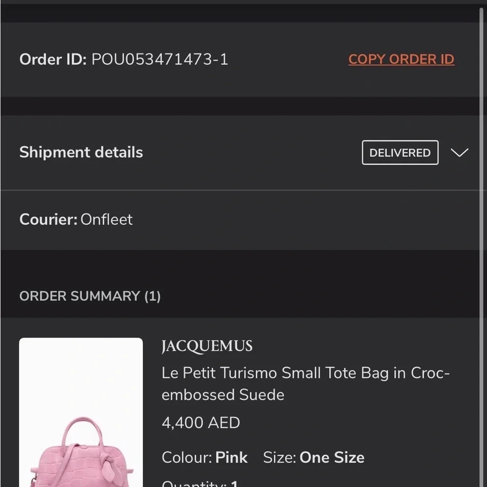 Jacquemus Turismo Small - Pink Suede - Picture 14 of 14